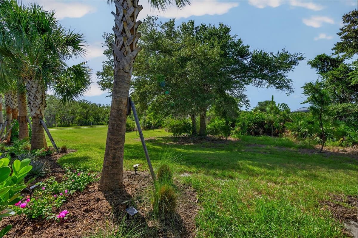 10354 ABACO FALLS DRIVE — photo 55 of 100