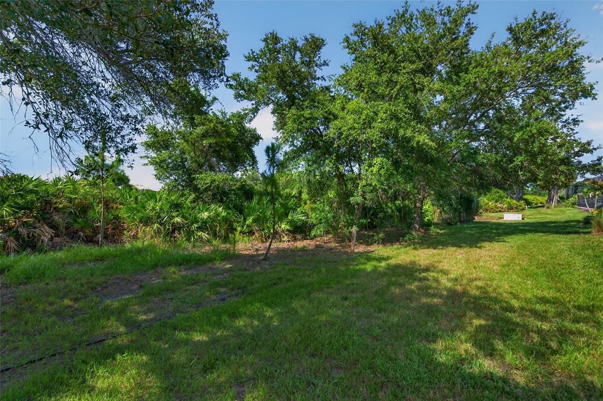 10354 ABACO FALLS DRIVE — photo 59 of 100