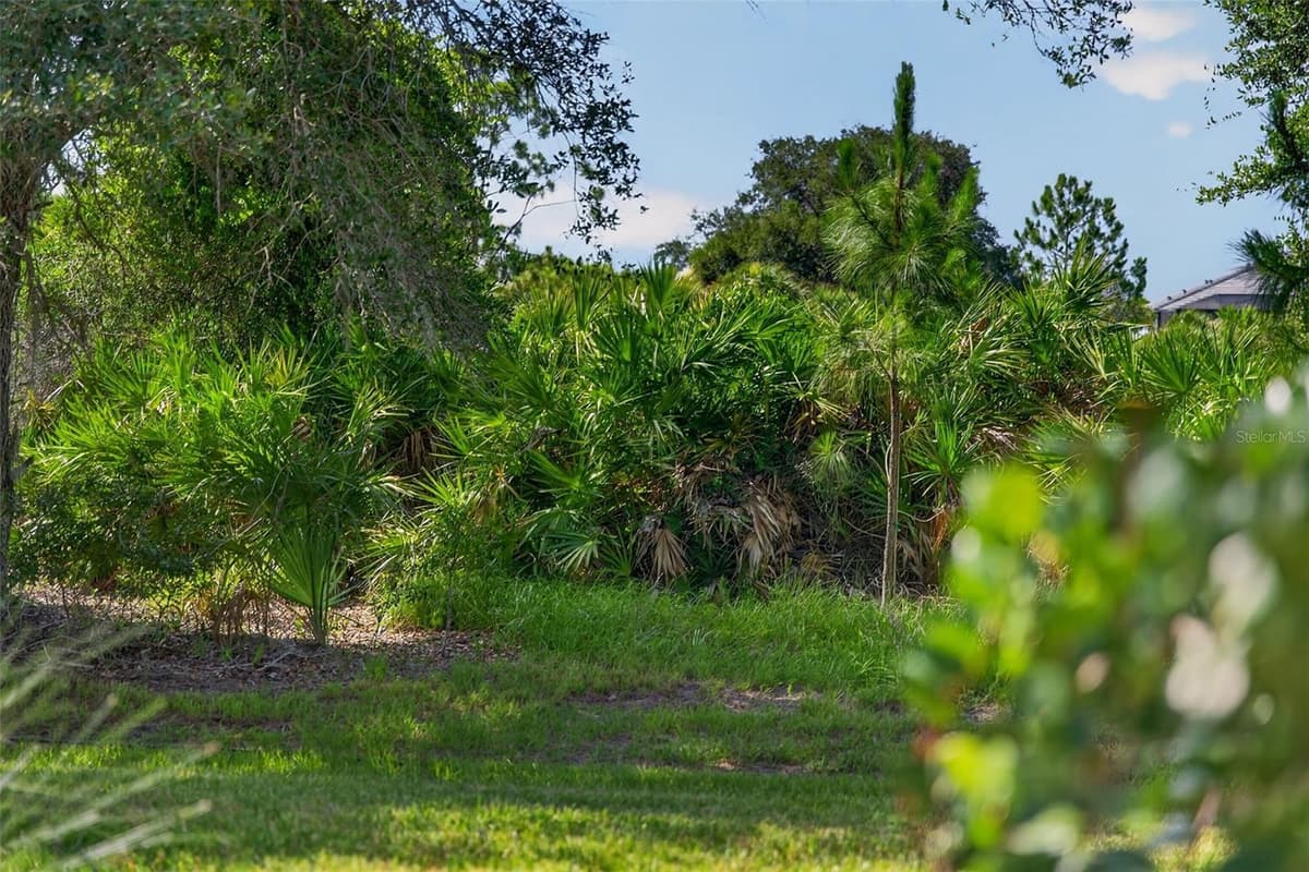 10354 ABACO FALLS DRIVE — photo 60 of 100