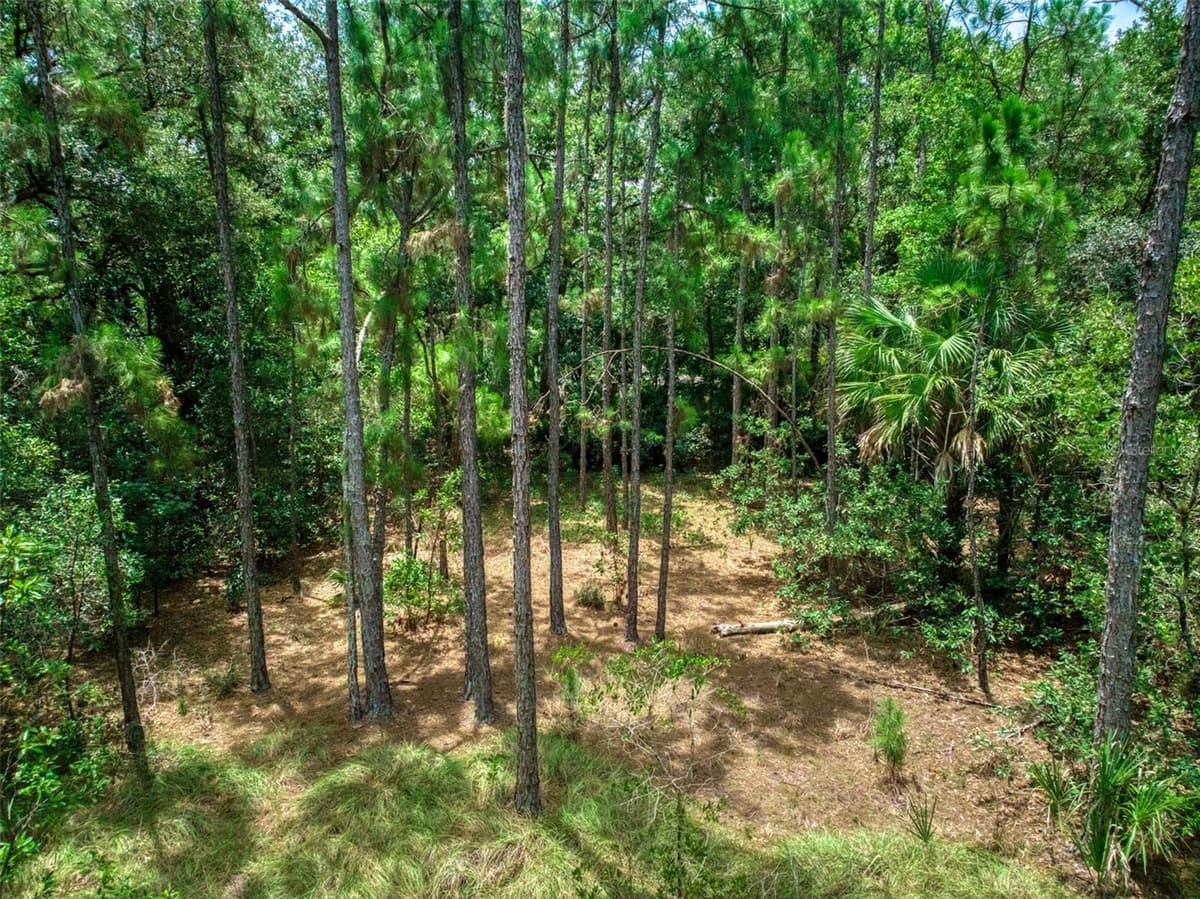 5101 WHIPPOORWILL ROAD — photo 12 of 18