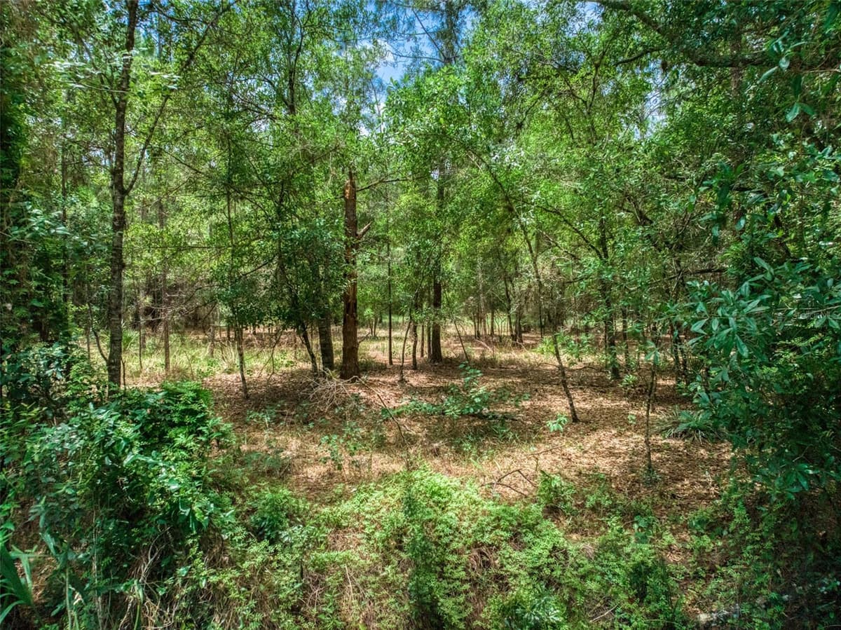 5101 WHIPPOORWILL ROAD — photo 1 of 18
