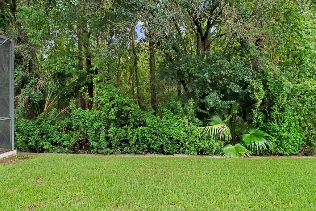 16116 IVY LAKE DRIVE — photo 22 of 51
