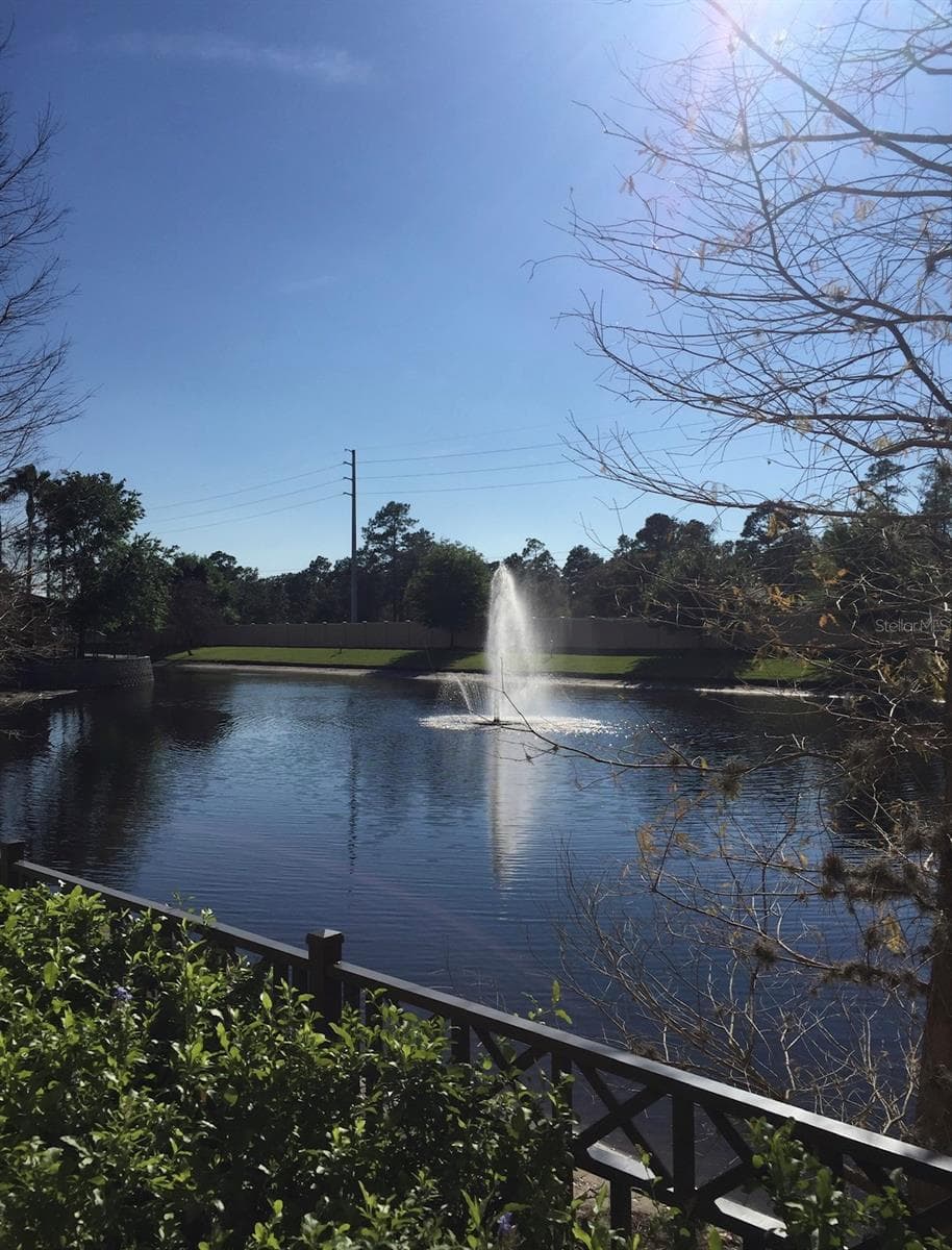 12539 FLORIDAYS RESORT DRIVE — photo 36 of 41