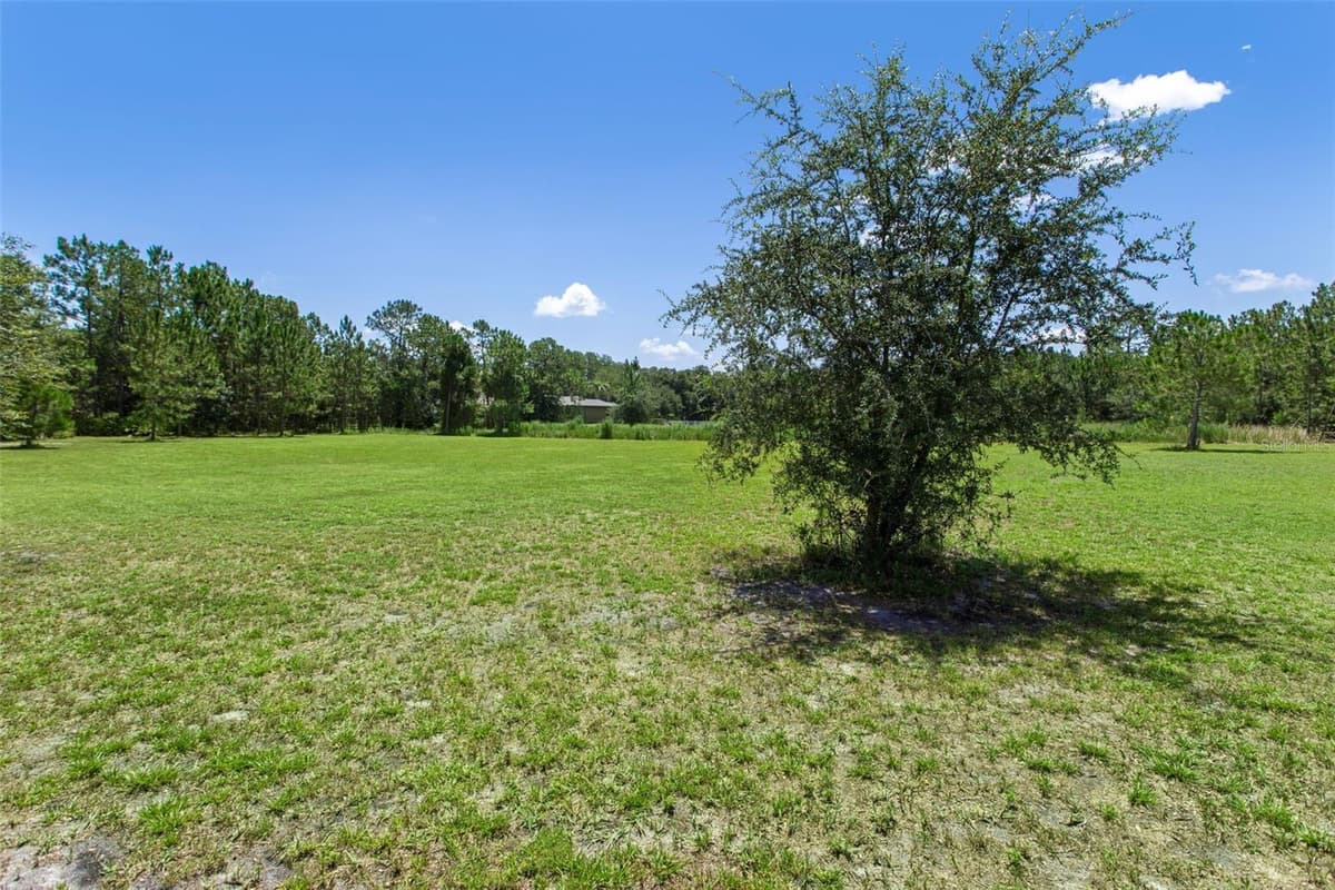 8408 WOODLEAF BOULEVARD — photo 50 of 64