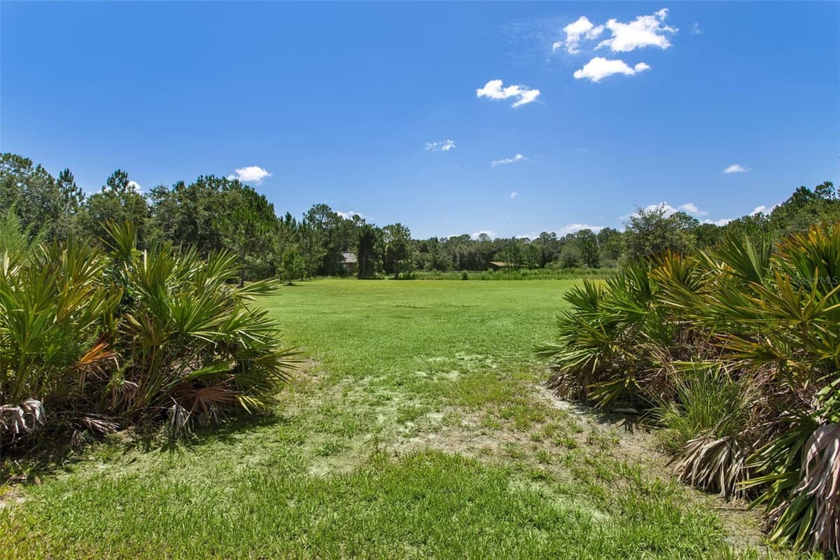 8408 WOODLEAF BOULEVARD — photo 48 of 64