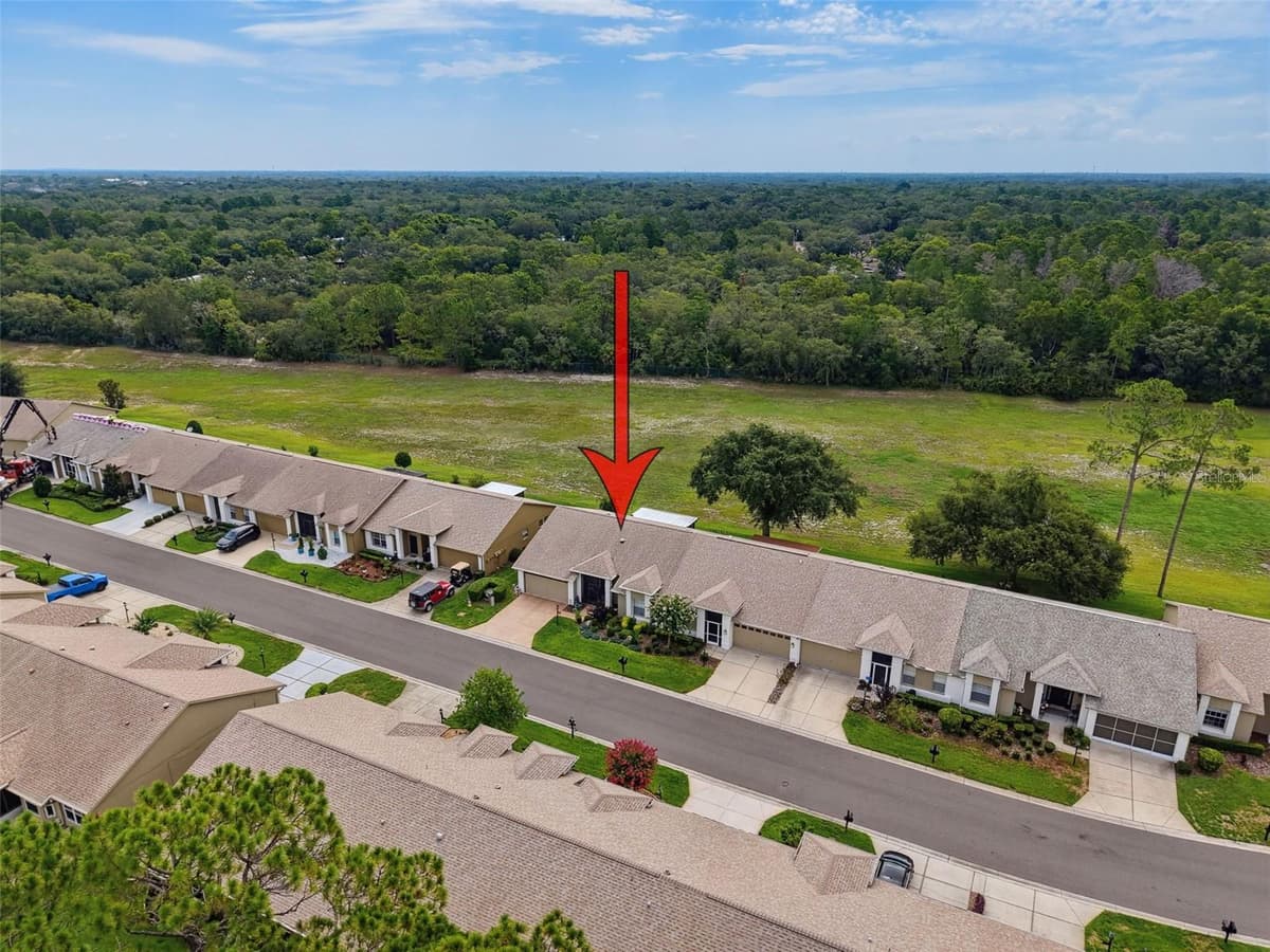 18412 BENT PINE DRIVE — photo 45 of 47