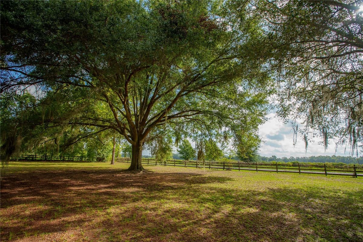 25518 COUNTY ROAD 241 — photo 7 of 74