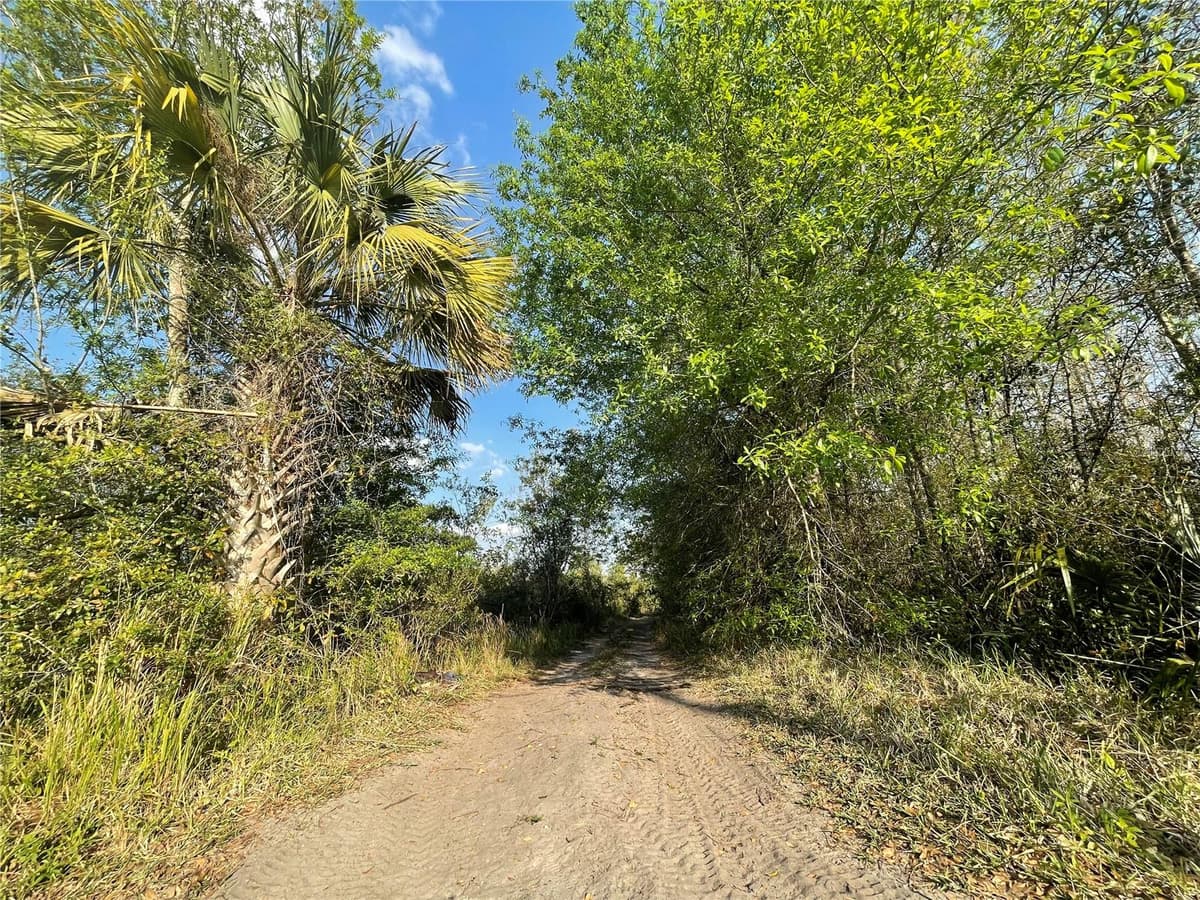 CONCORD ROAD — photo 1 of 5