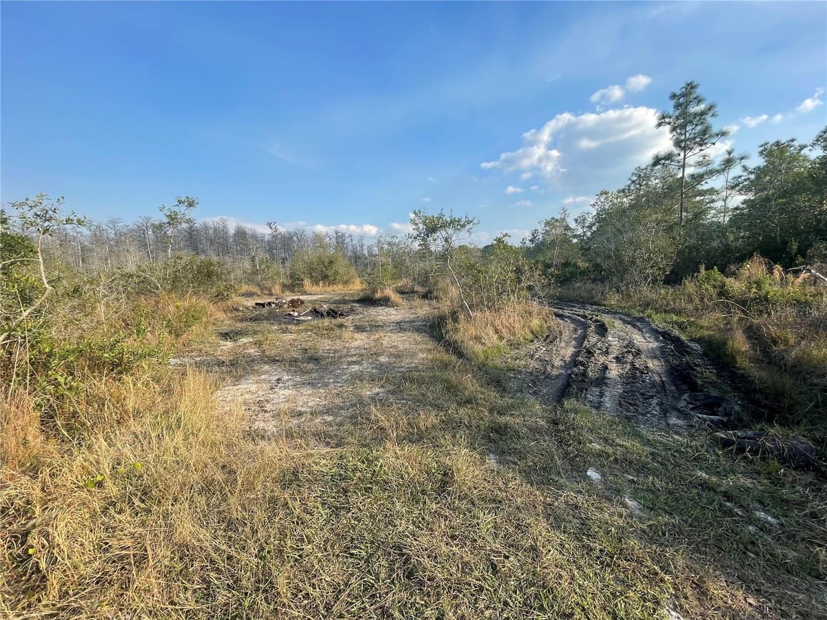 CONCORD ROAD — photo 1 of 5