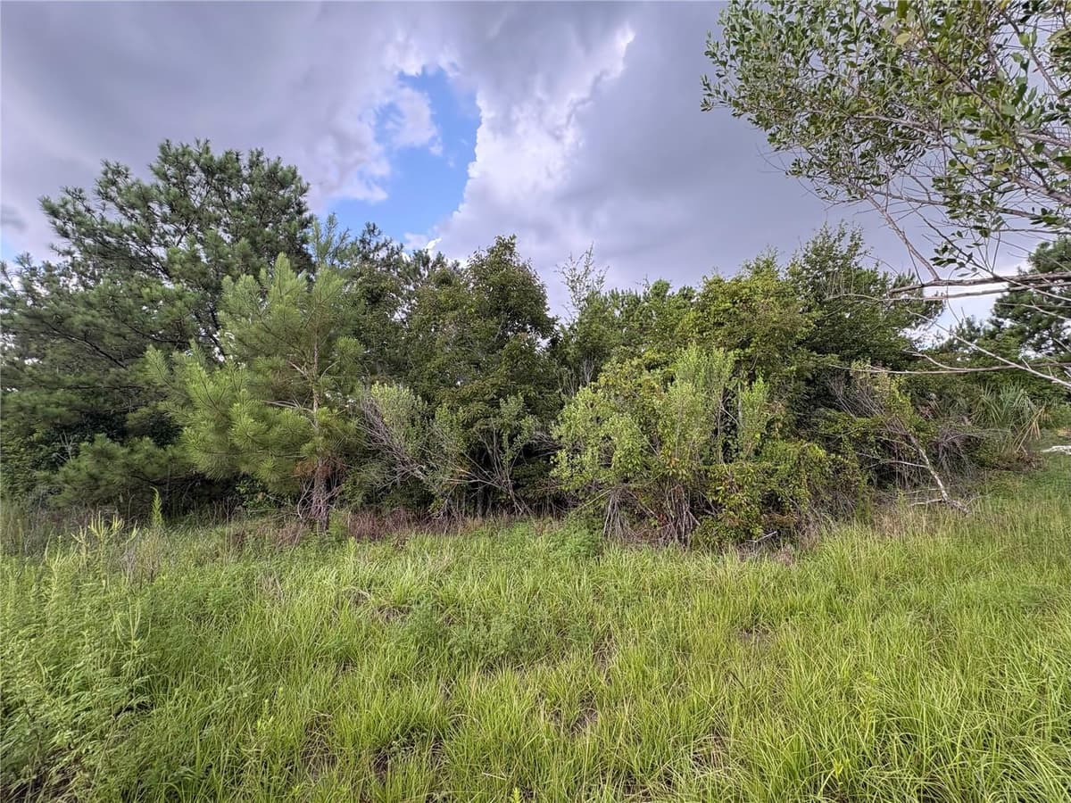 EVENING STAR — photo 1 of 4