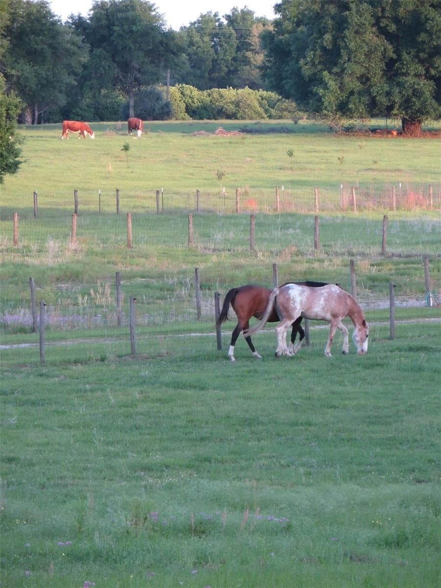 21341 HORSE RANCH ROAD — photo 21 of 26