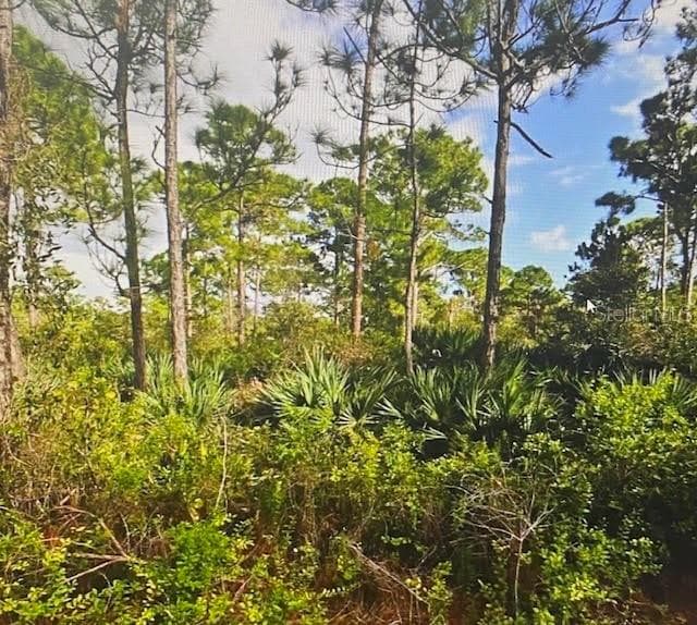 5550 TREE TOP TRAIL — photo 1 of 3