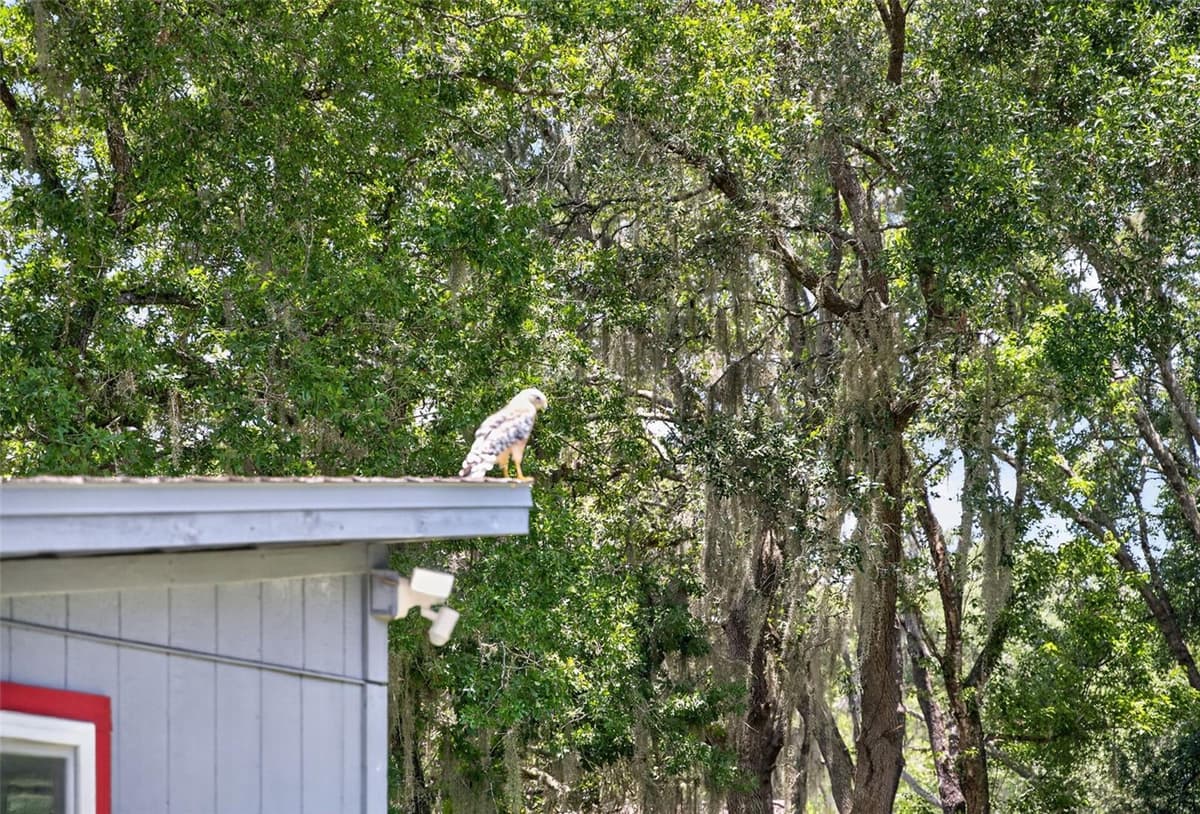 1043 LAKESIDE DRIVE — photo 60 of 75