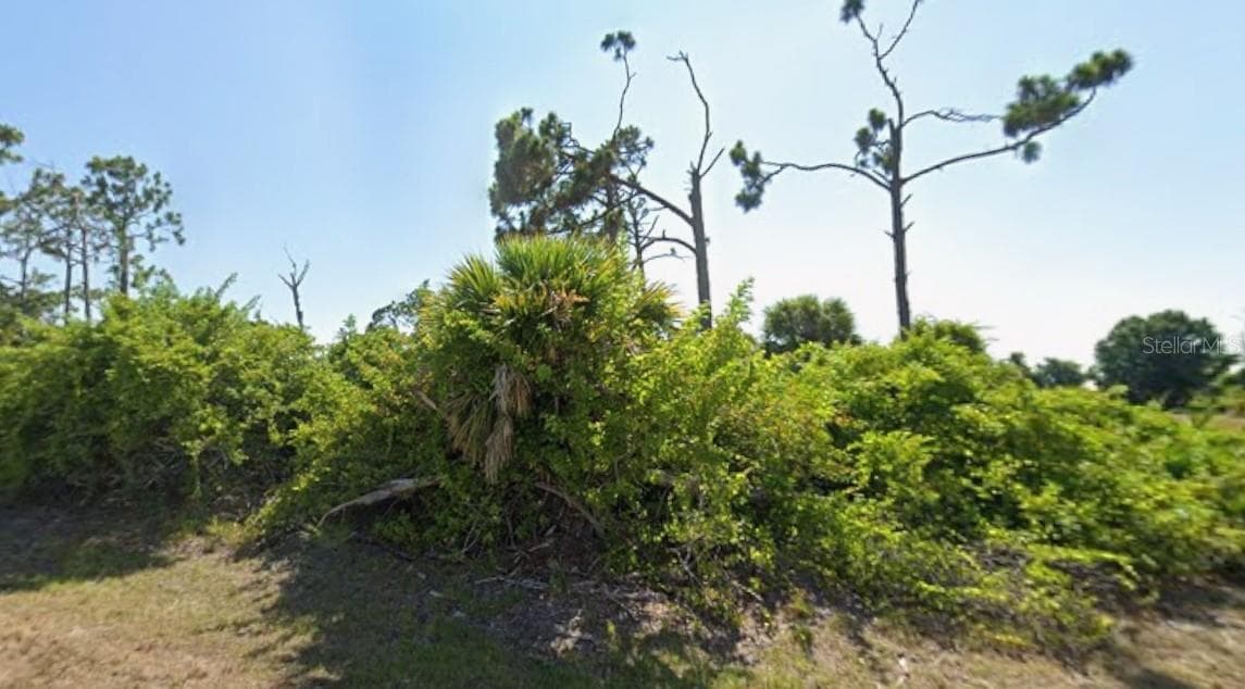 145 GREEN PINE PARK — photo 3 of 3