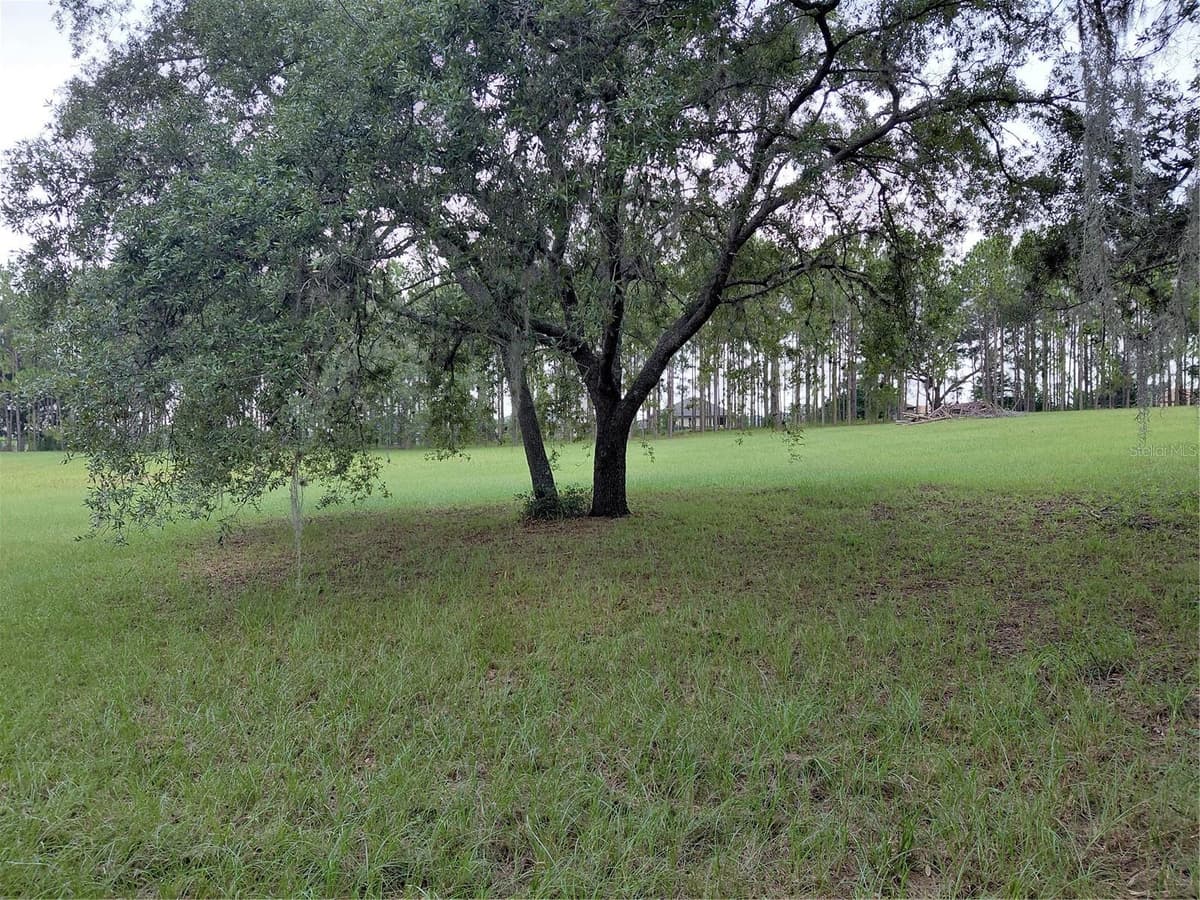 14240 LOST LAKE ROAD — photo 11 of 47