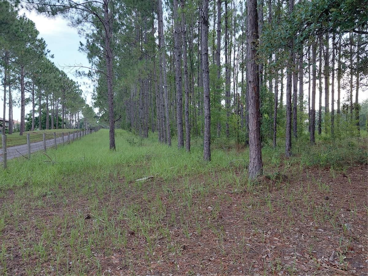 14240 LOST LAKE ROAD — photo 7 of 47