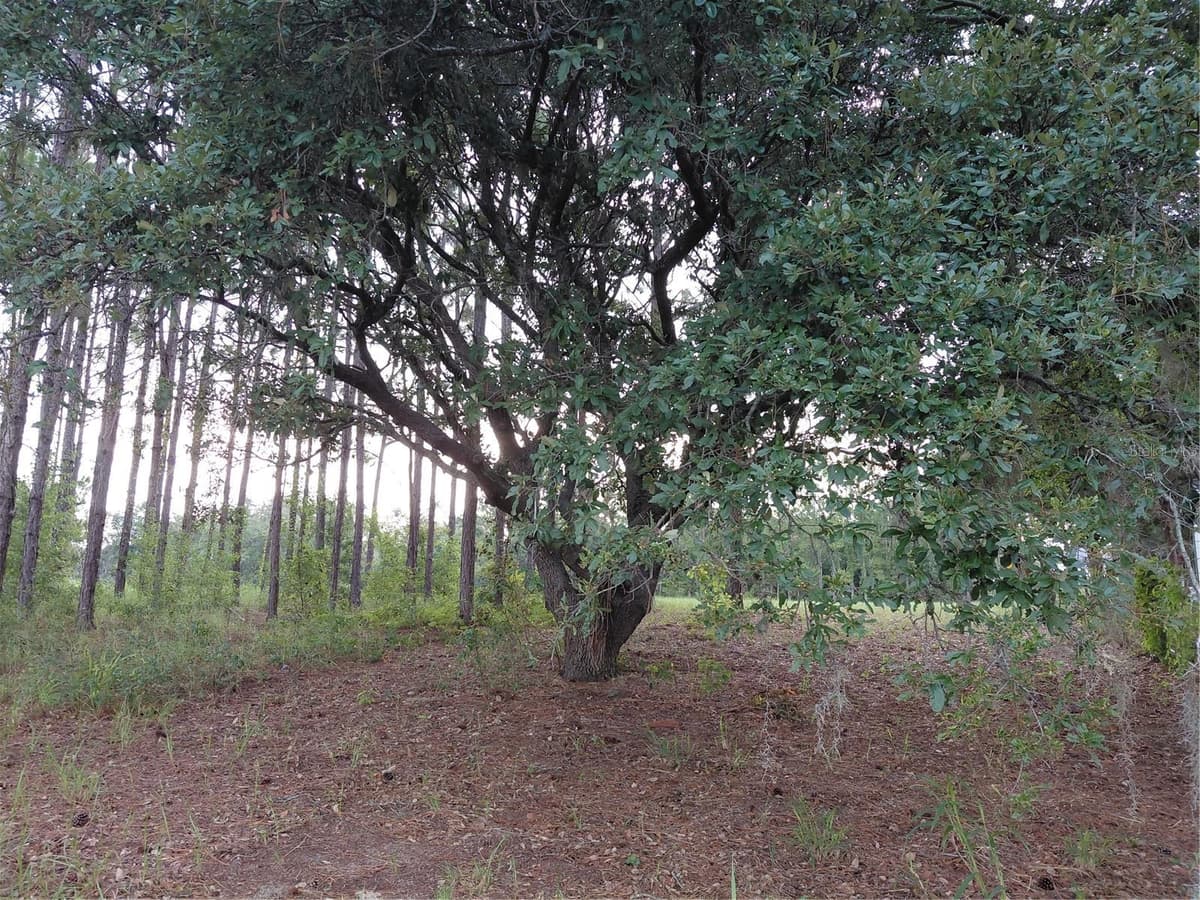 14240 LOST LAKE ROAD — photo 8 of 47
