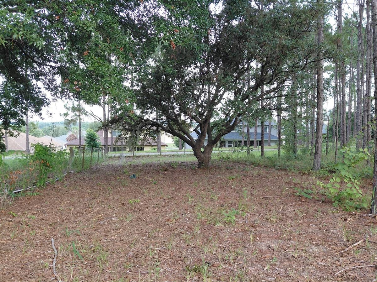 14240 LOST LAKE ROAD — photo 12 of 47