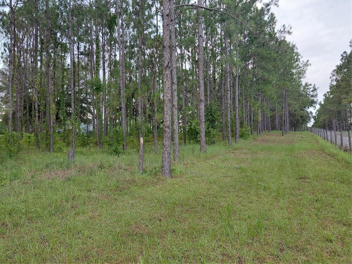 14240 LOST LAKE ROAD — photo 20 of 47