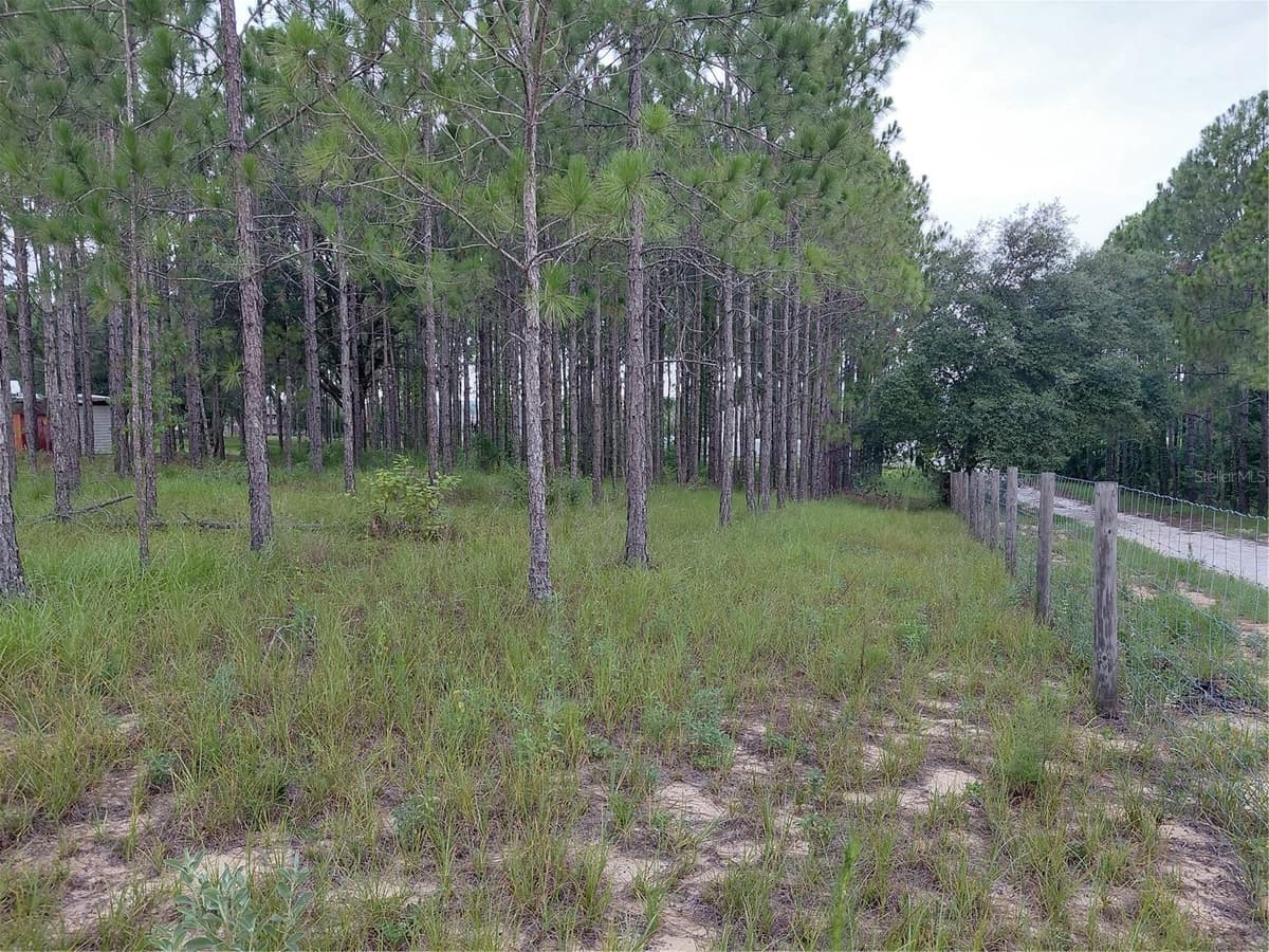 14240 LOST LAKE ROAD — photo 16 of 47