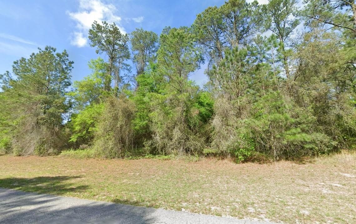 1495 CITRUS SPRINGS BOULEVARD — photo 3 of 3