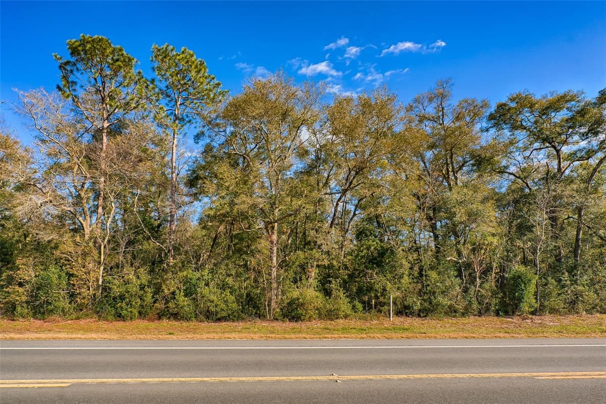 S US HWY 129 — photo 3 of 15
