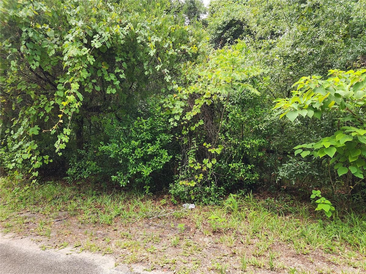 00 OAK DRIVE — photo 4 of 5