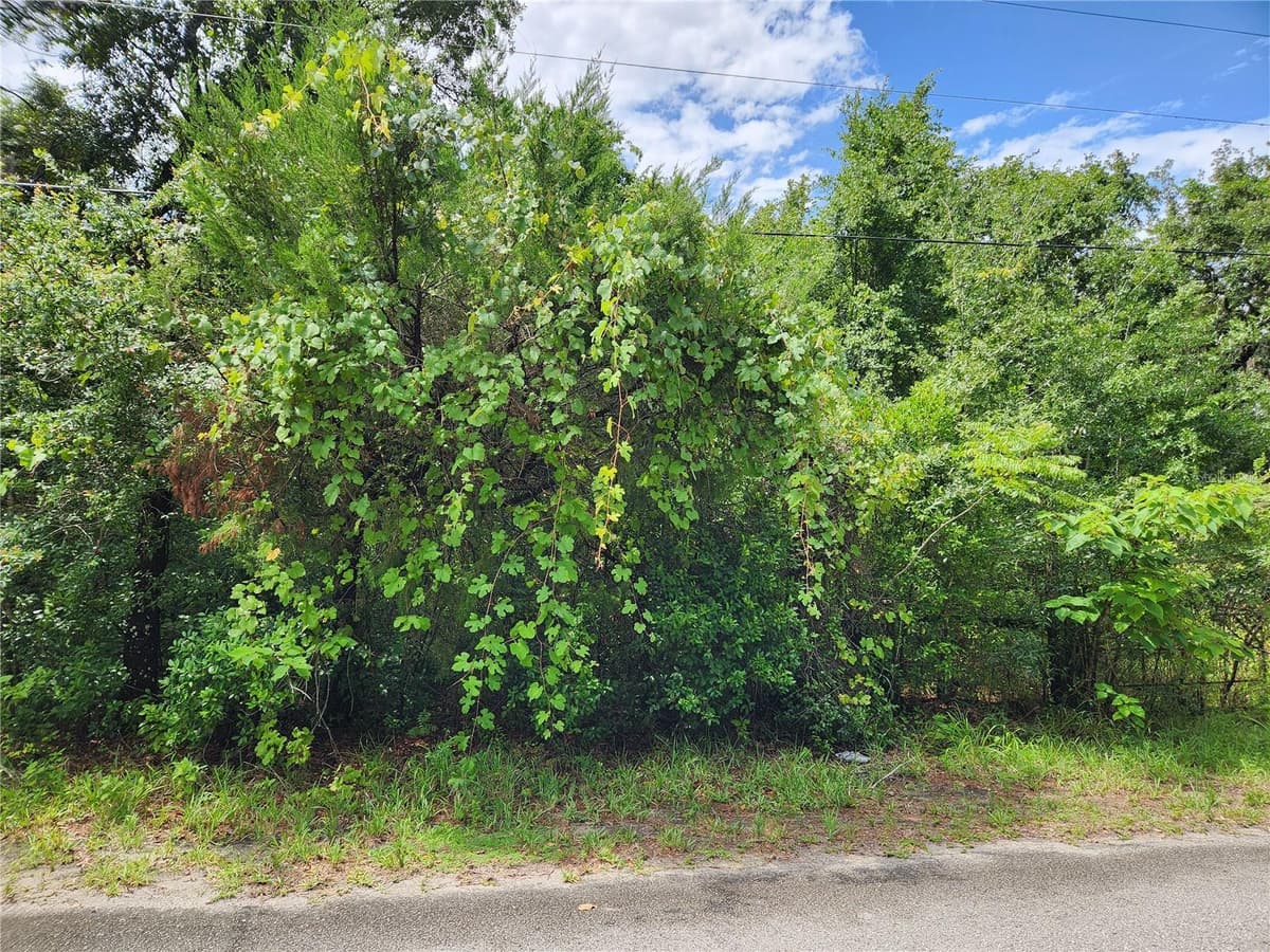 00 OAK DRIVE — photo 1 of 5