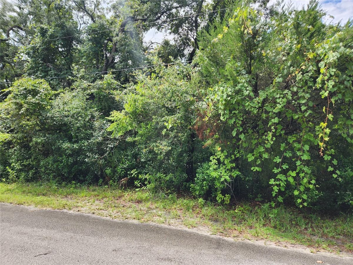 00 OAK DRIVE — photo 2 of 5