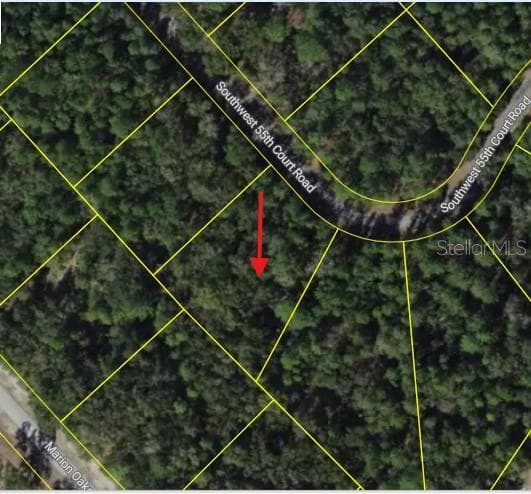 0 SW 55TH COURT ROAD — photo 3 of 5