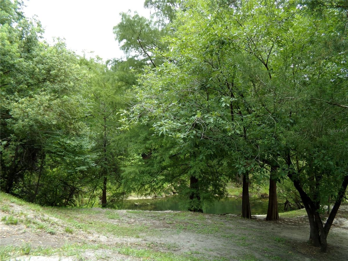 33068 ROUND TABLE ROAD — photo 71 of 82