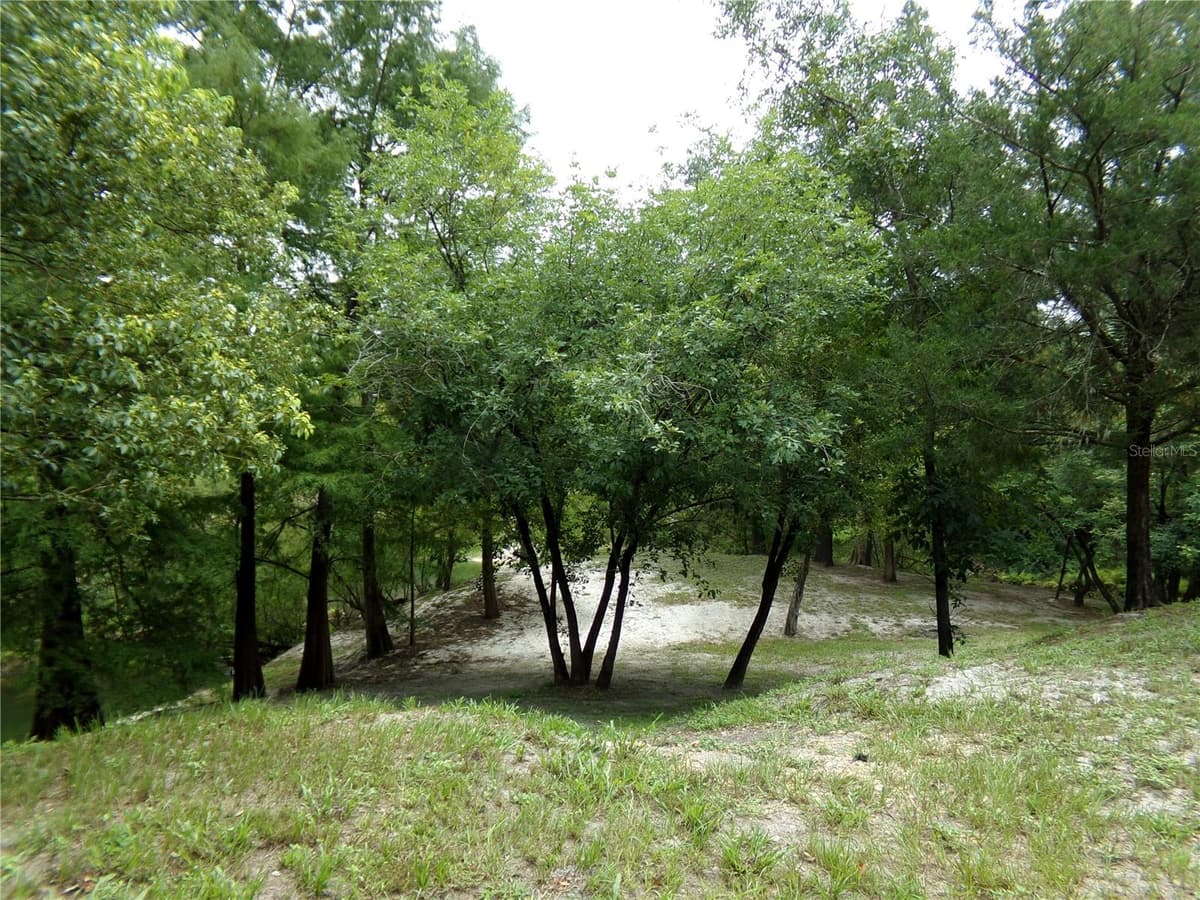 33068 ROUND TABLE ROAD — photo 70 of 82