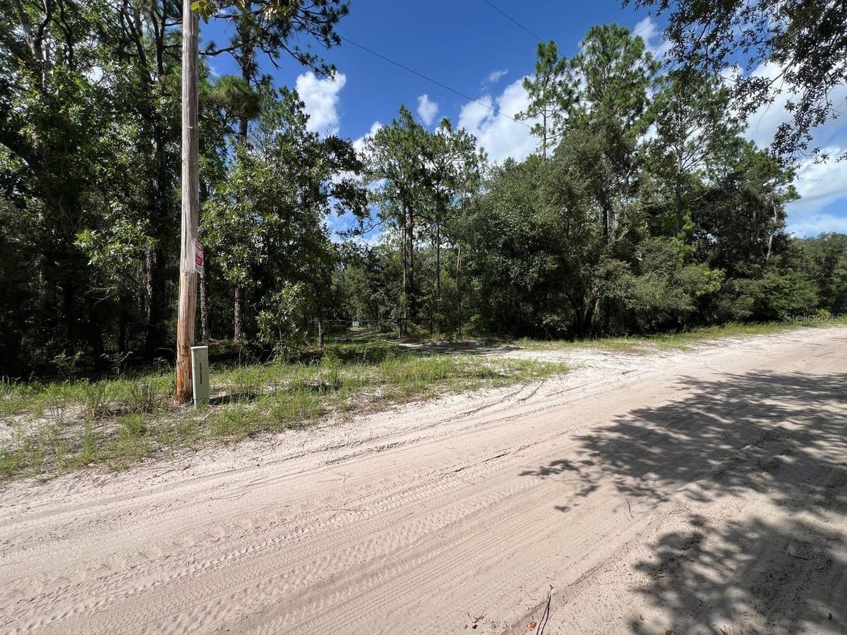 157TH LANE — photo 7 of 26
