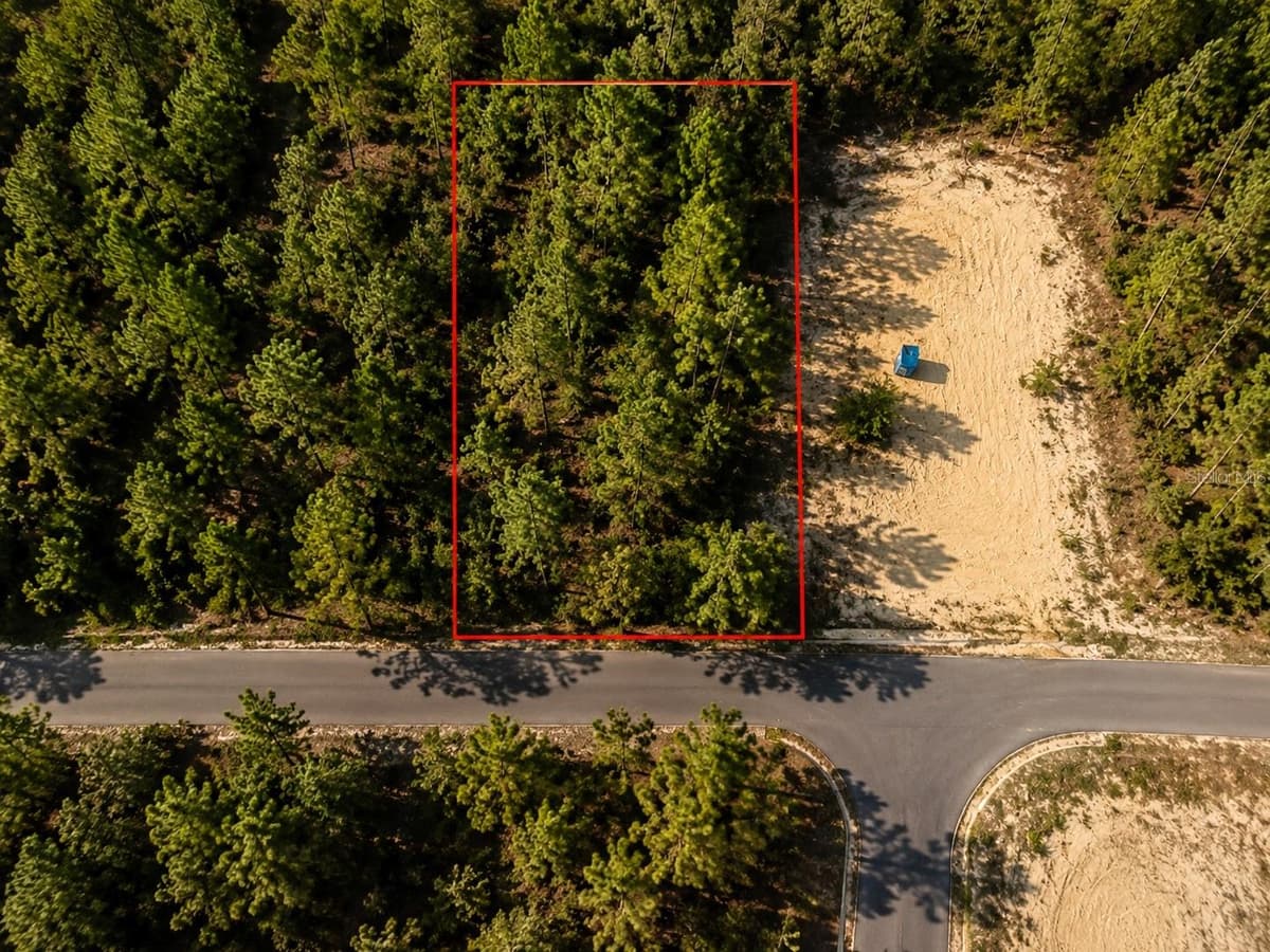 SEQUOIA TRAIL TRAK — photo 2 of 4