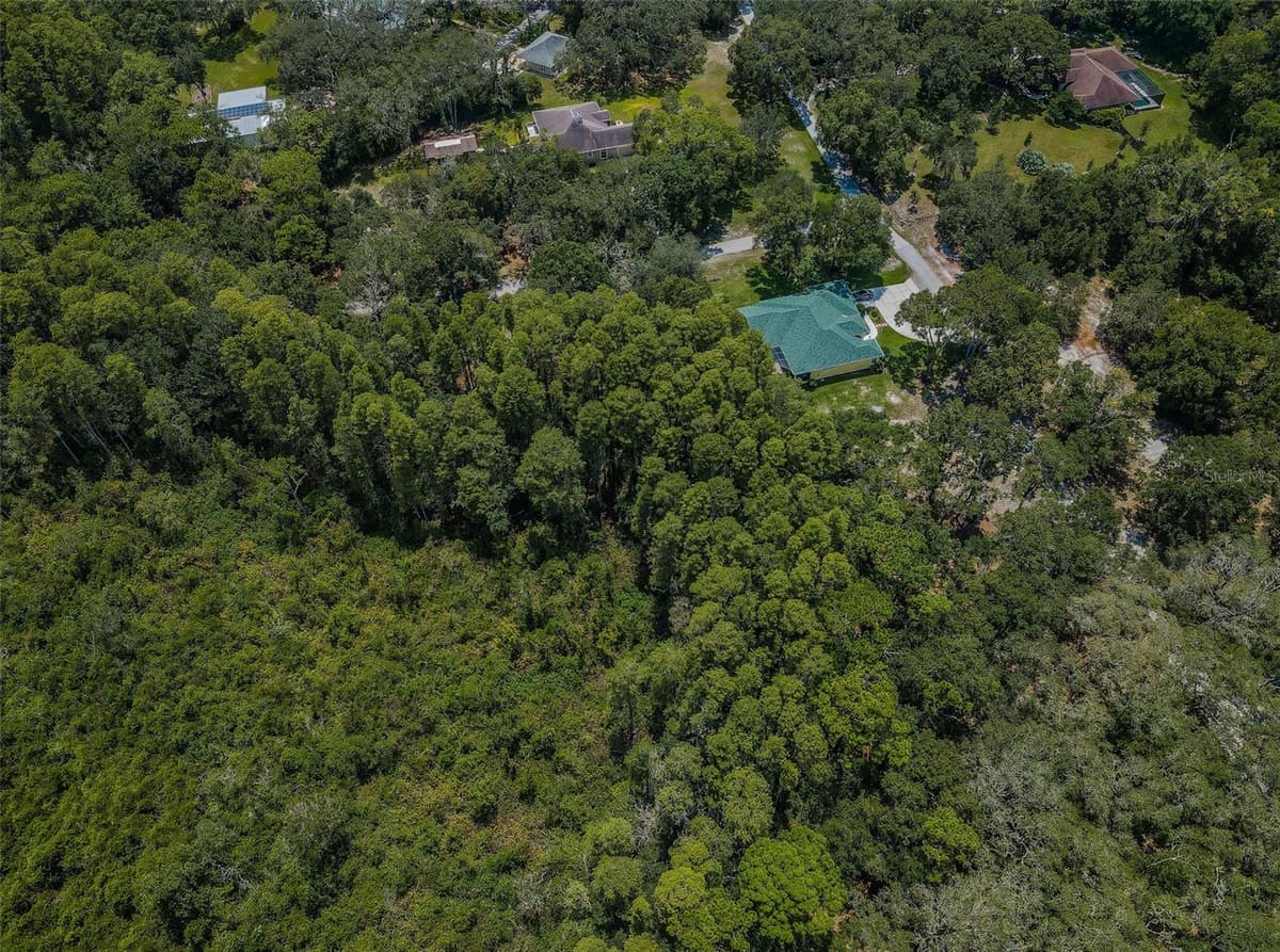 COQUI COURT — photo 10 of 26