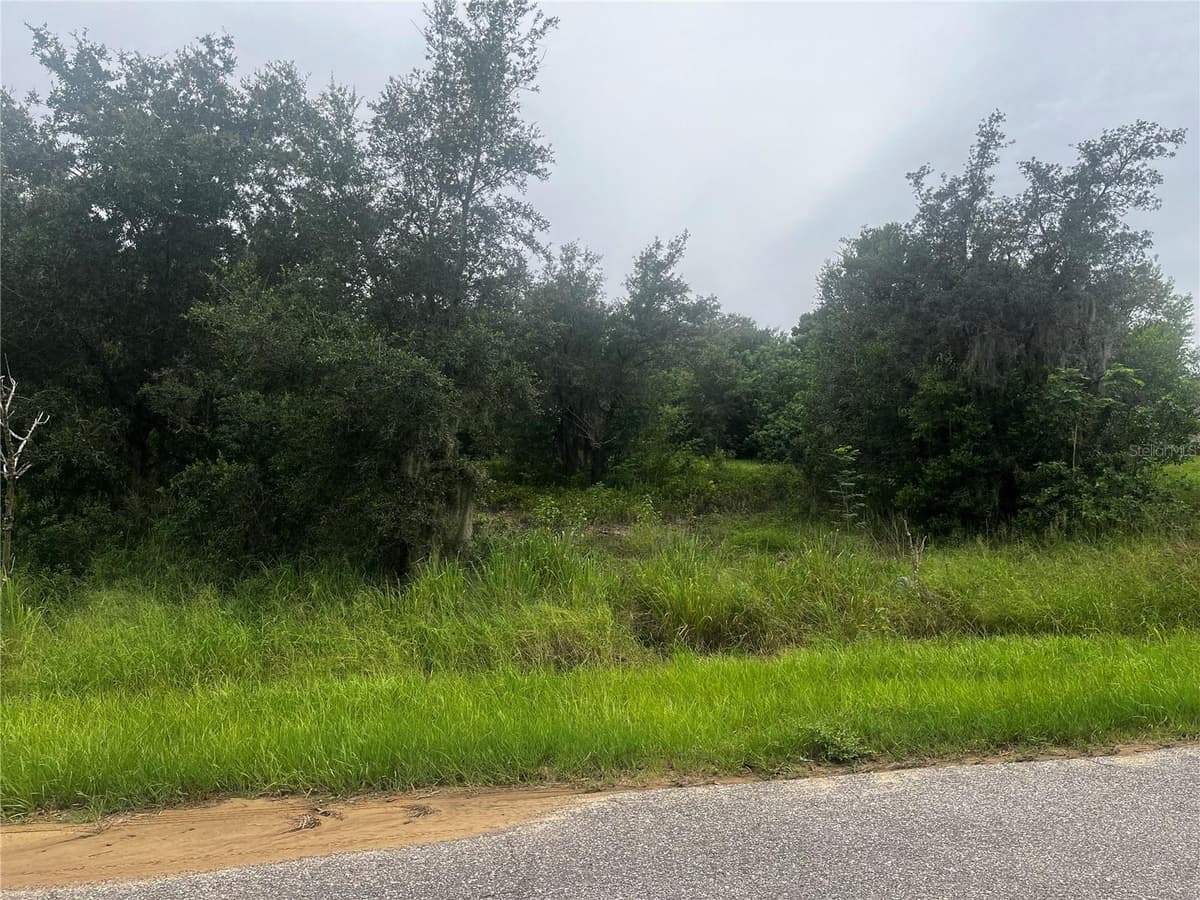 2370 LAKE EASY ROAD — photo 1 of 2