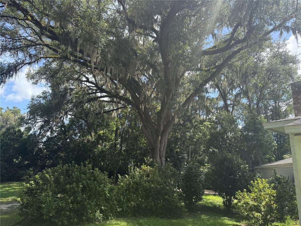 298 COURT STREET — photo 23 of 23