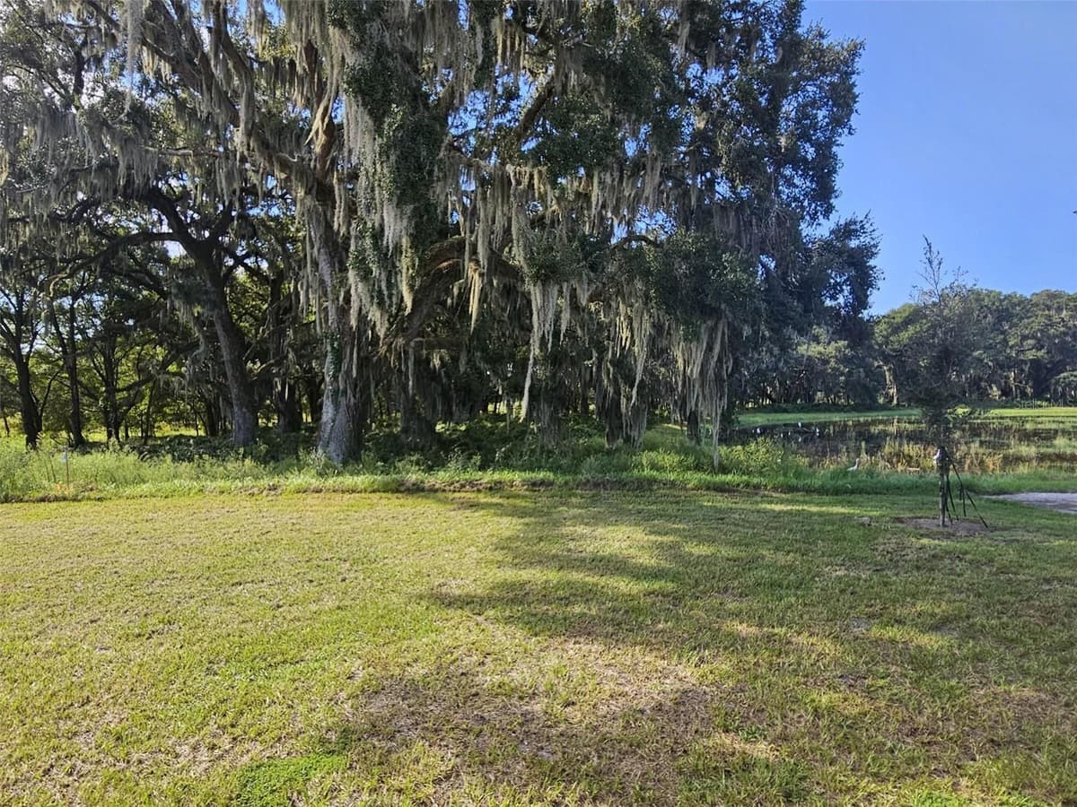 3014 CANOPY OAK BOULEVARD — photo 10 of 16