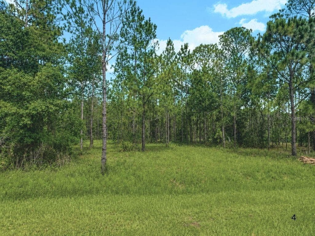 3250 PLUMOSA DRIVE — photo 4 of 42