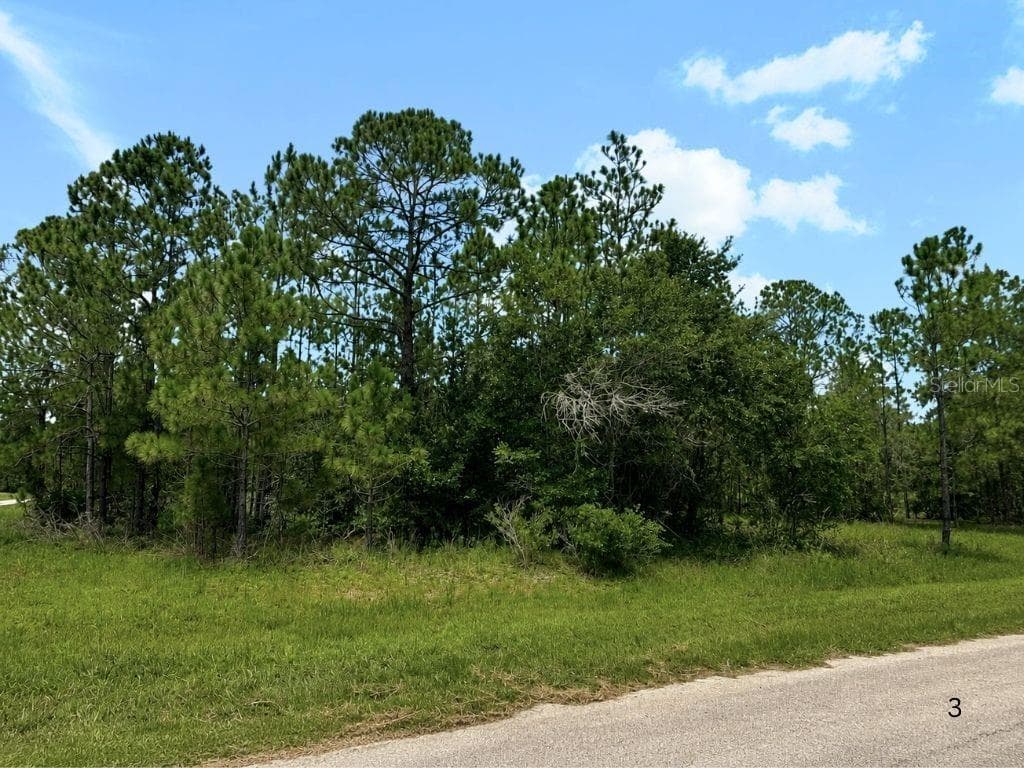 3250 PLUMOSA DRIVE — photo 3 of 42