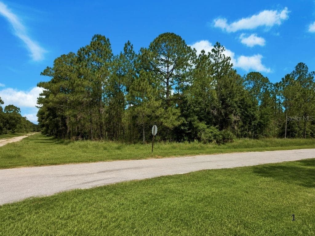 3250 PLUMOSA DRIVE — photo 1 of 42