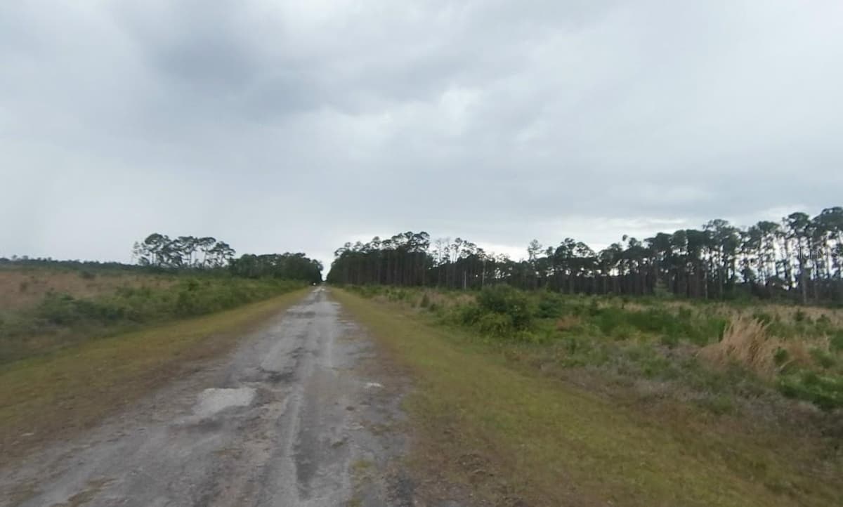 GALLARDIA DRIVE — photo 5 of 8
