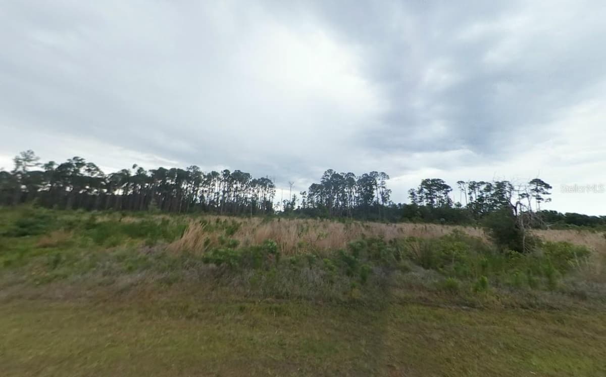 GALLARDIA DRIVE — photo 2 of 8