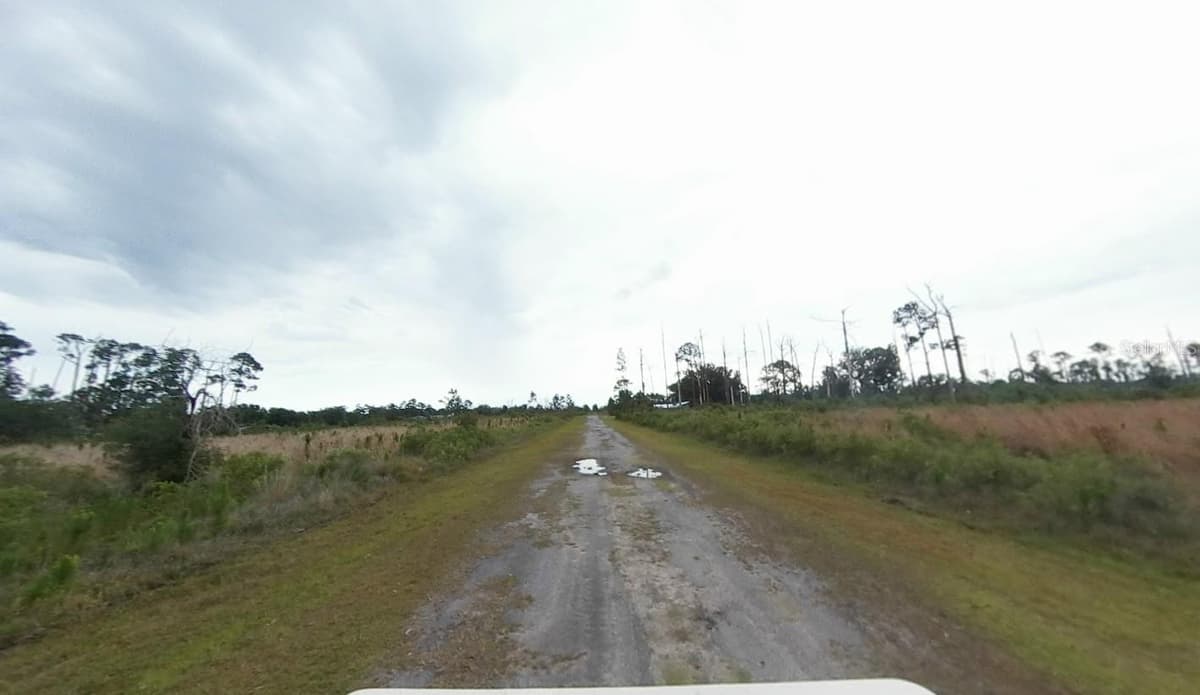 GALLARDIA DRIVE — photo 4 of 8
