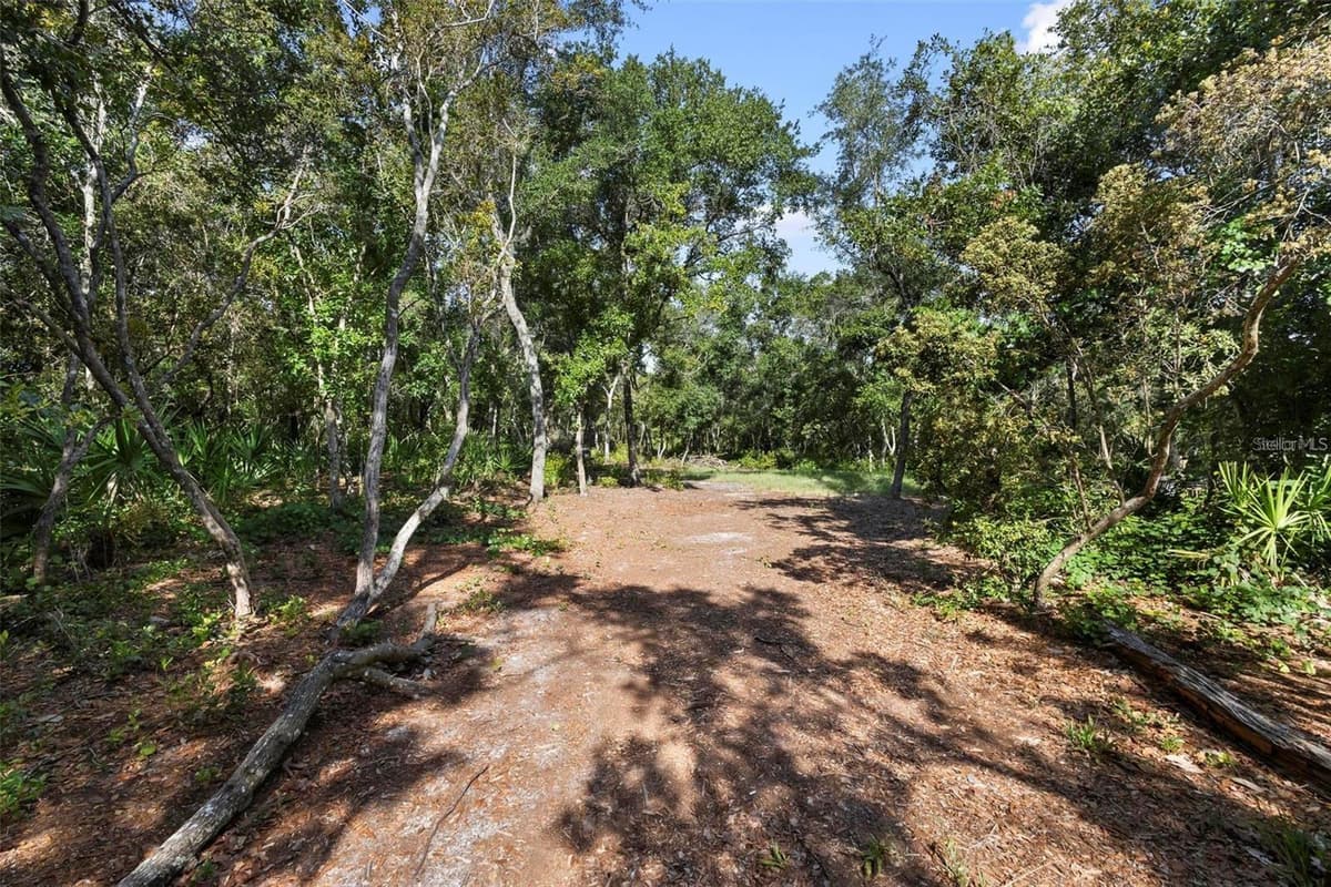 DOYLE ROAD — photo 13 of 13