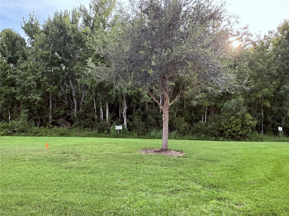 11155 SAVANNAH LANDING CIRCLE — photo 48 of 52