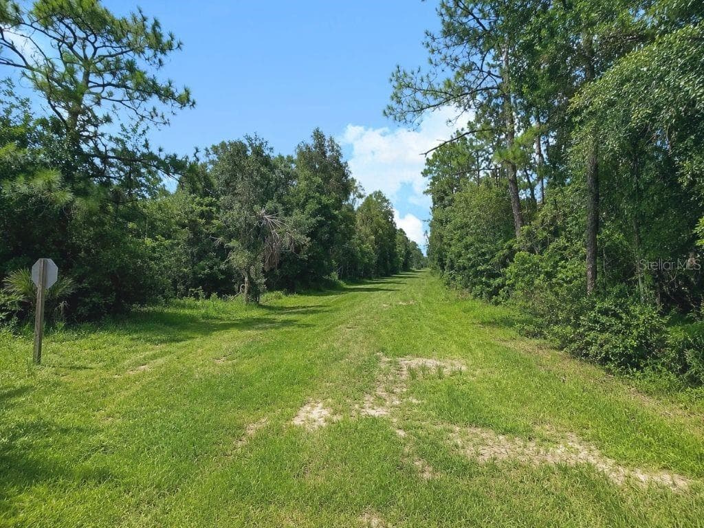 Blk 254 Lot 7 EL DORADO DRIVE — photo 2 of 38