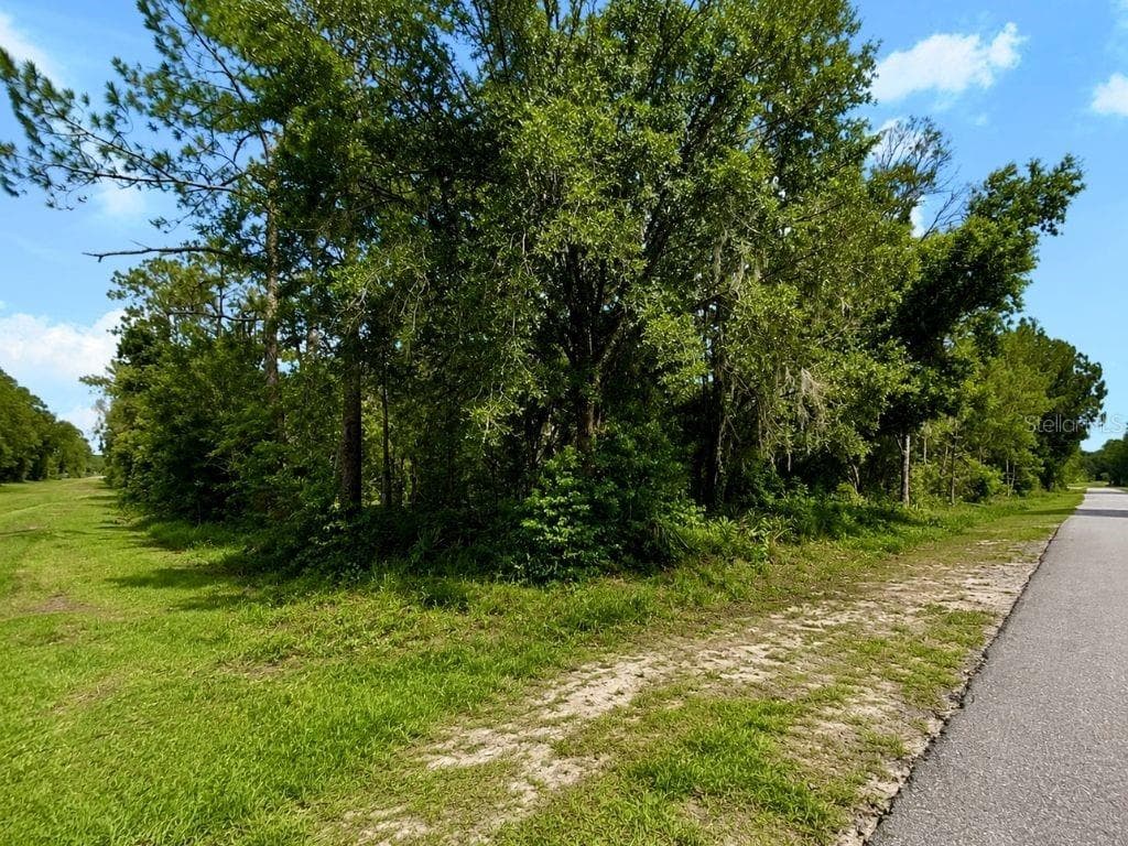Blk 254 Lot 7 EL DORADO DRIVE — photo 3 of 38