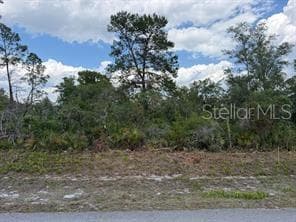 6470 ALICIA DRIVE — photo 1 of 1