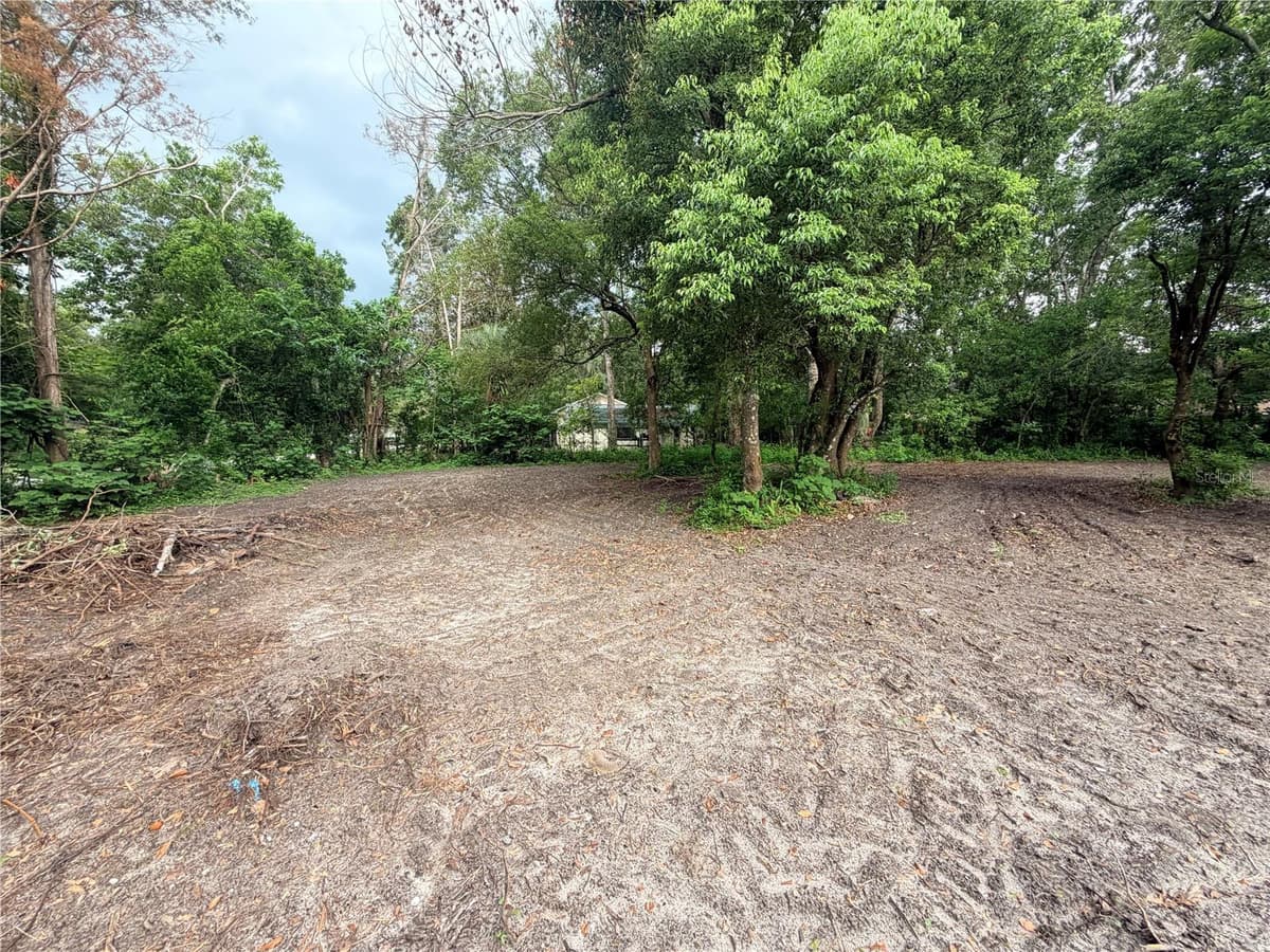 343 LINCOLN AVENUE — photo 13 of 39